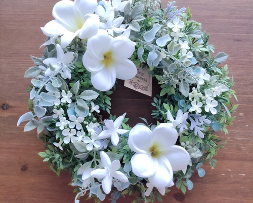 a2b198534cc083aab39735e23b61d0