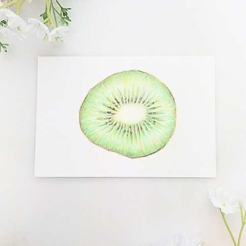 色鉛筆画 原画 1点物 キウイ フルーツ イラスト ハガキサイズ イラスト