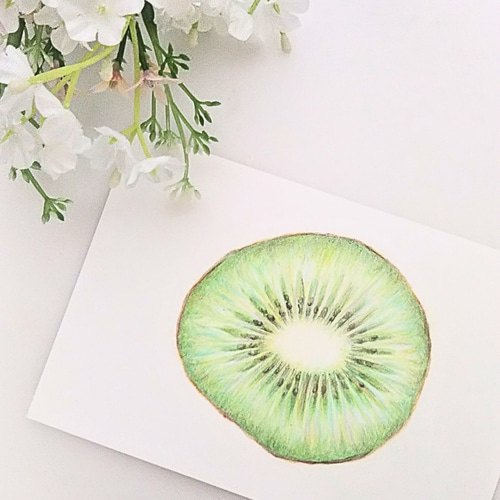 植木スイカ　色鉛筆画　はがきサイズ原画 植木スイカ 色鉛筆画 はがきサイズ原画 植木スイカ 色鉛筆画