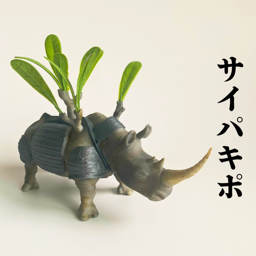 サイパキポ｜1 グラキリス×サイの塊根アートフィギュア 1 立体