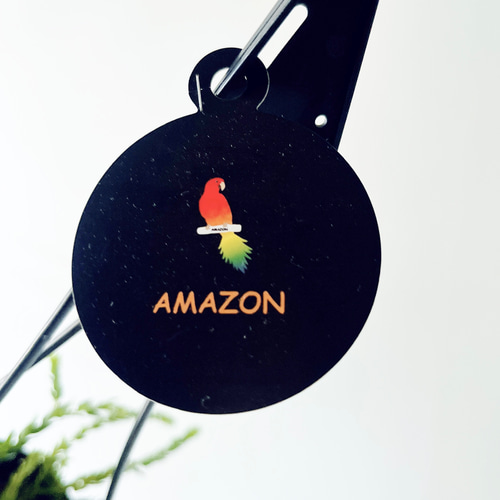 希少》フペルジア スワンテイル ハンギング 観葉植物 calm cafe 多肉