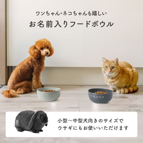 名入れ無料】お名前入り フードボウル ペット 食べやすい 動物 イヌ