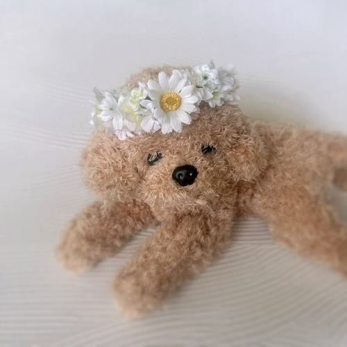白いお花のペット用花かんむり ペット用アクセサリー 犬猫花冠 犬撮影