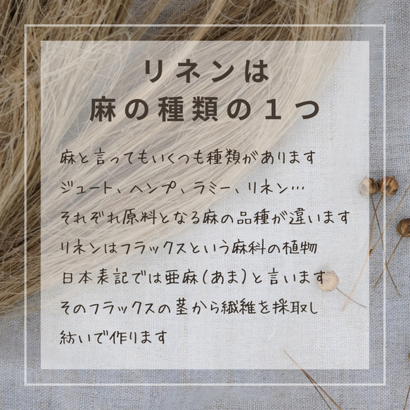  第11張的照片