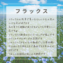  第12張的照片