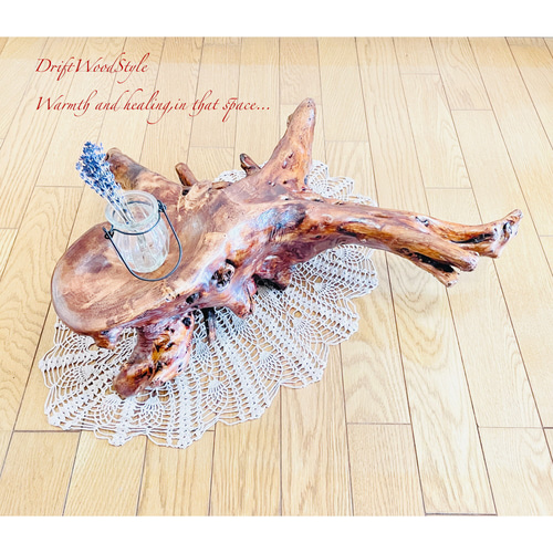 流木 インテリア 流木インテリア 圧倒的な存在感を醸す流木の置物 皿 トレー N3 その他