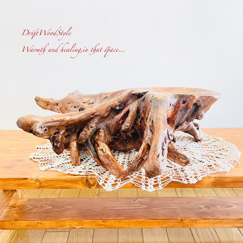 流木 インテリア 流木インテリア ディスプレイセット 1020400007 その他インテリア雑貨