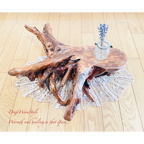 流木インテリア 圧倒的な存在感を醸す流木の置物 皿 トレー N3 その他