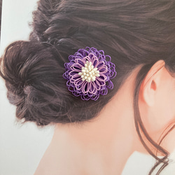 紫（パープル） ヘアクリップ・バナナクリップ の人気通販