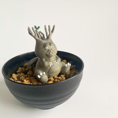 【パキポディウムの番人】パキ坊 グラキリス　12 現地球　ハンドメイド パキポディウムの番人】パキ坊 グラキリス 12 現地球