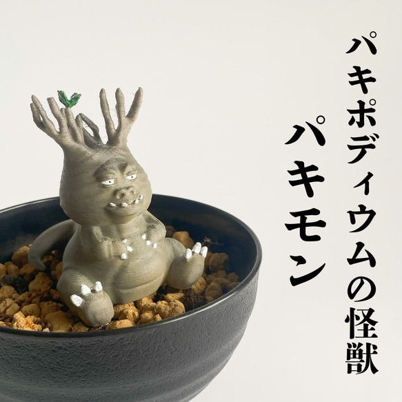 パキポディウムの怪獣】パキモン 10 グラキリス 現地球 ハンドメイド