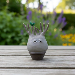 数量限定】オペルクリカリア・パキプス 10 フィギュア リアル塊根植物