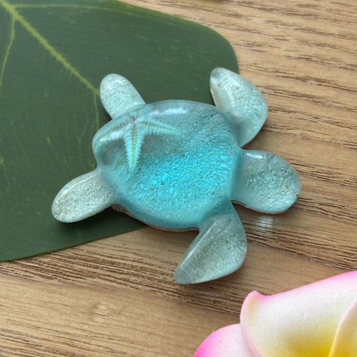 海を感じるホヌ レジンアート 海のかけら サンゴ砂 ヒトデ ウミガメ