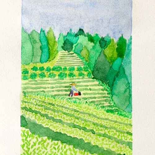 茶畑 絵画 haruna.illustration 通販 19341343｜Creema(クリーマ)