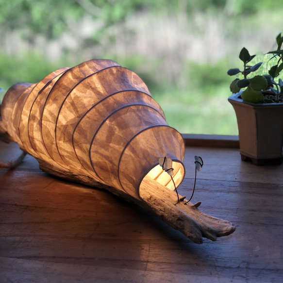 LUMA 流木と和紙とビーチグラスの照明（かたつむり） スタンドライト