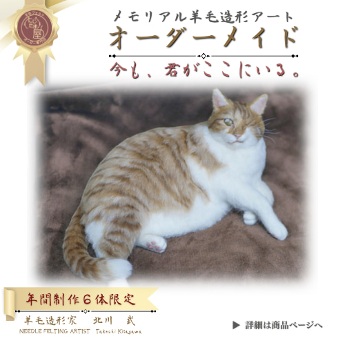 うちの子オーダー】愛猫のそっくり人形｜心に残るカタチ メモリアル