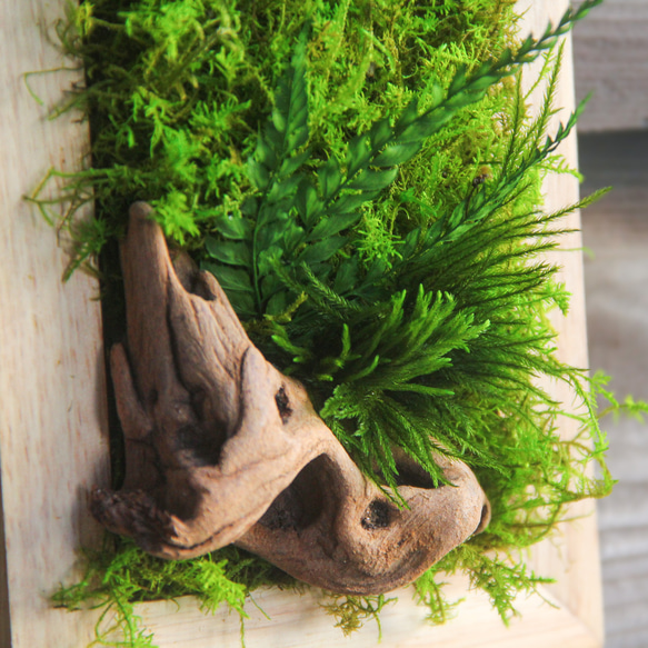 ‼︎スタッフおすすめ‼︎【そよぐ緑に癒される】モスアートフレーム【壁掛け苔】 4枚目の画像