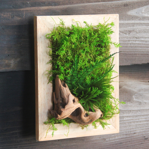 ‼︎スタッフおすすめ‼︎【そよぐ緑に癒される】モスアートフレーム【壁掛け苔】 2枚目の画像