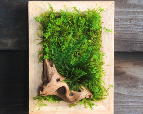 d0c73db0f38eb55bd1df45f835aa9b