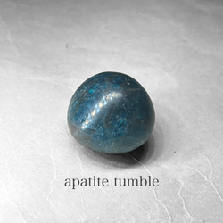 money agate tumble / マネーアゲートタンブル C 天然石 N.st 通販