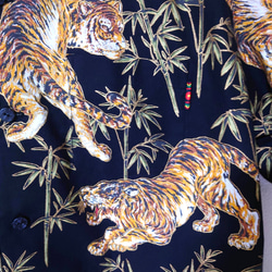  第3張的照片
