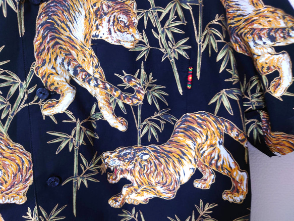  第3張的照片