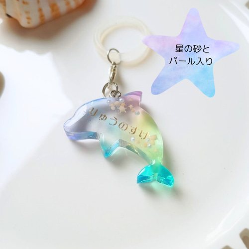 お名前・文字入れ アンブレラマーカー キーホルダー カラビナ イルカ