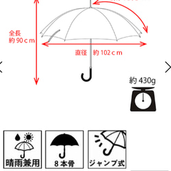  第11張的照片