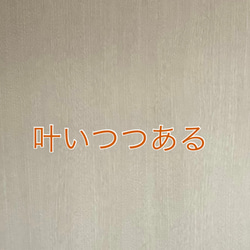 ミィページ/ご確認した上ご購入お願いします(❁´◡`❁) SHOPPING GUIDE ※ご購入前に確認をお願いします その他素材