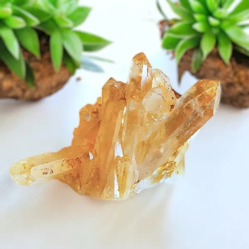 新登場♪】ゴールデンヒーラーをもっとパワフルにしたみたいな