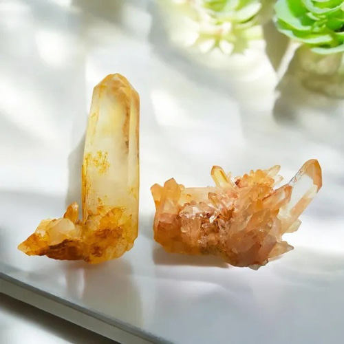 新登場♪】ゴールデンヒーラーをもっとパワフルにしたみたいな