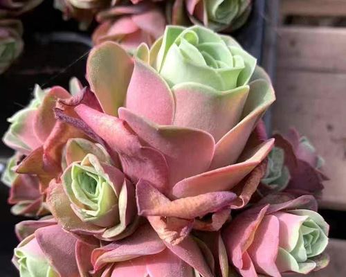 c6475571697627f5035e887fd1b17e