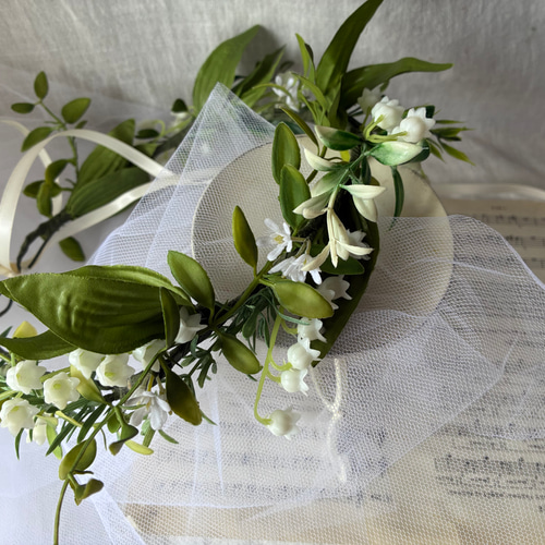 花冠 Onc. Witch's Jewel — Palmer Orchids