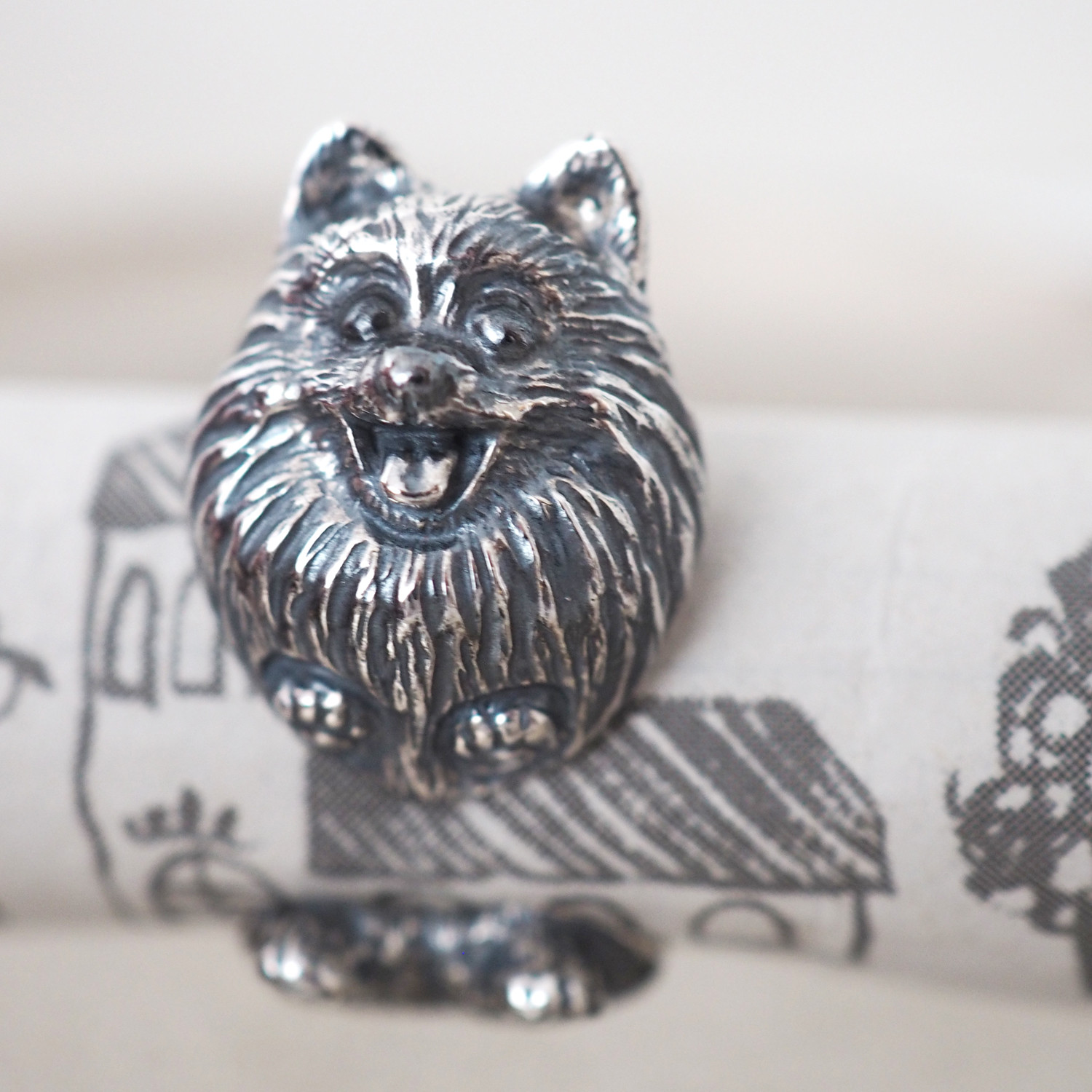 犬リング ポメラニアン