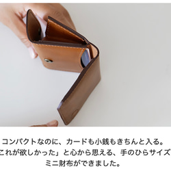  第4張的照片
