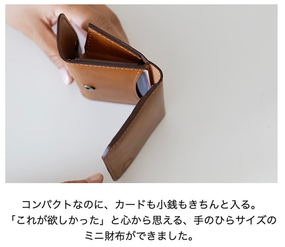 第4張的照片