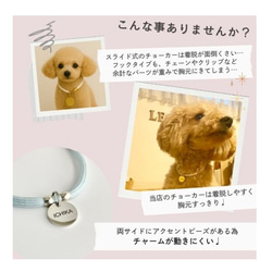【全9色】＼着画レビューキャンペーン中♩／ 20mmの迷子札付　柔らかコードを使用した犬用チョーカー 2枚目の画像