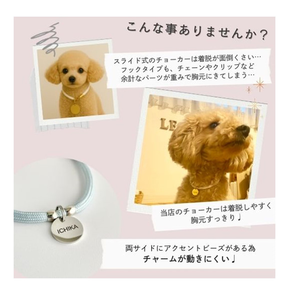 【全9色】＼着画レビューキャンペーン中♩／ 20mmの迷子札付　柔らかコードを使用した犬用チョーカー 2枚目の画像
