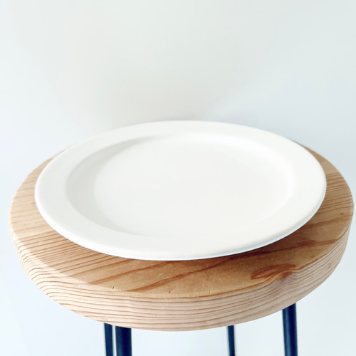 希少 パキラ レモンライム 接木 陶器鉢 オストボール マット 受皿付