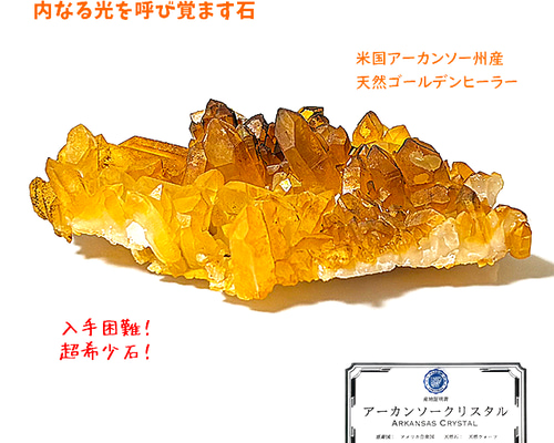 ゴールデンヒーラー 0bbf2cbeb0d37043912239a733c853