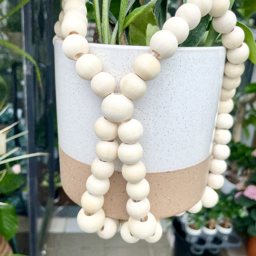 ビカクシダ（コウモリラン）×セラミック鉢セット ウッドビーズプラント