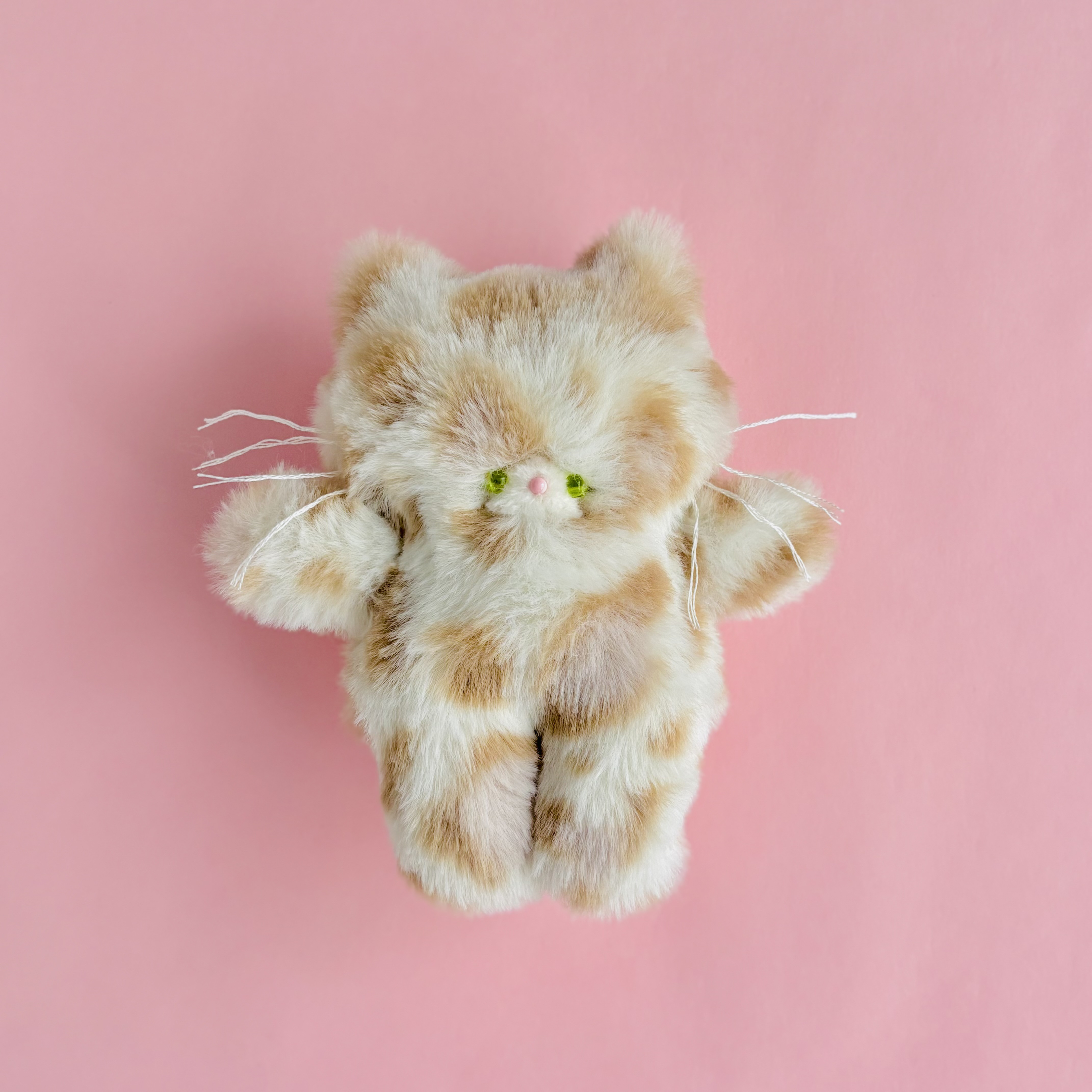 白ヒョウにゃん。マスカットアイ 手のひらサイズ 猫のぬいぐるみ♡③