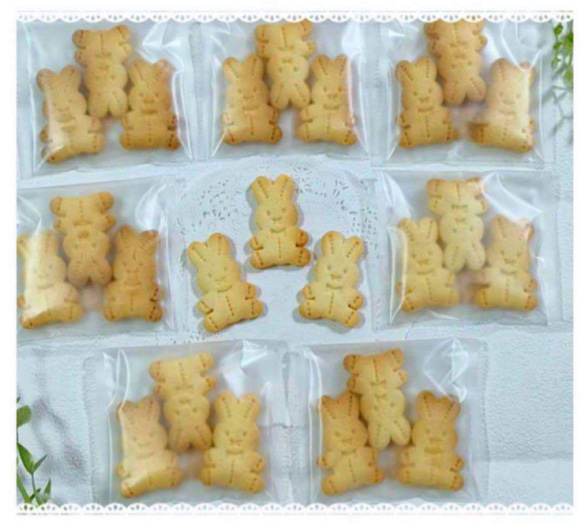  第2張的照片