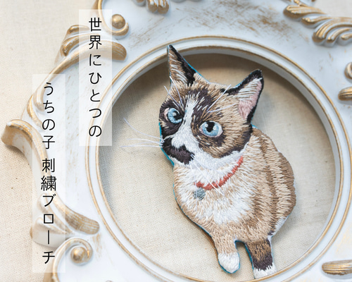 ad49604874eefde84bdbf0ed1f6f13