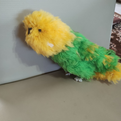 受注制作】編みぐるみセキセイインコ あみぐるみ つむぐ 通販 19350923