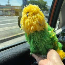 オーダー★あみぐるみ(3点)★インコ・キツネ 受注制作】編みぐるみセキセイインコ あみぐるみ つむぐ 通販 19350923