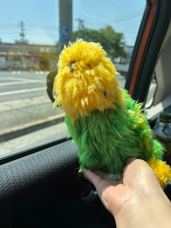 受注制作】編みぐるみセキセイインコ あみぐるみ つむぐ 通販 19350923