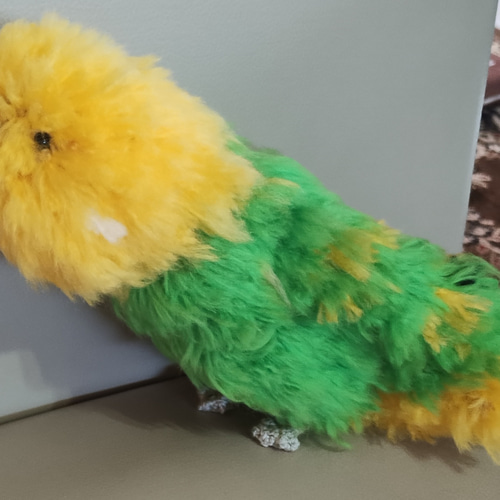 受注制作】編みぐるみセキセイインコ あみぐるみ つむぐ 通販 19350923