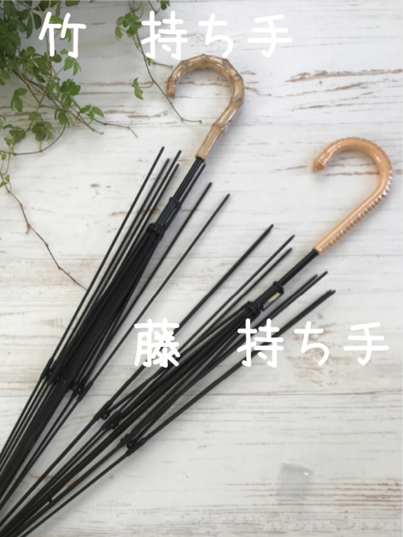  第14張的照片