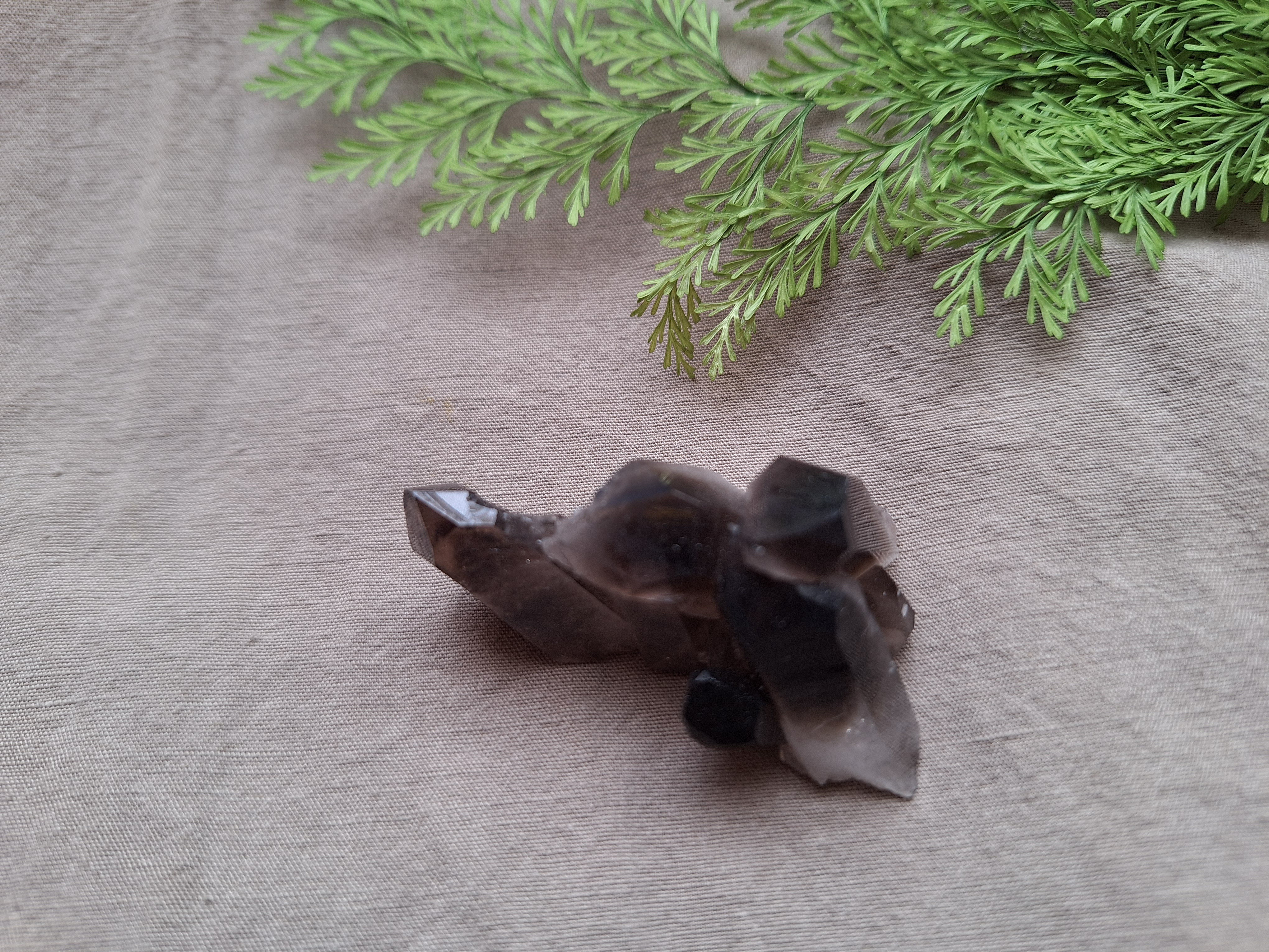 アーカンソー州産  モリオン  （黒水晶）クラスター  ④